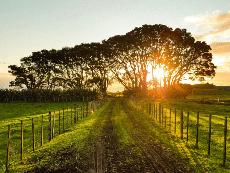 Photo montrant un chemin de terre avec coucher du soleil pour illustrer l'article racontant l'expérience d'une retraite silencieuse chez Happy Ferme